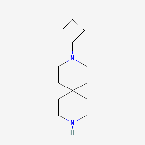 3-Cyclobutyl-3,9-diazaspiro[5.5]undecane chemical structure (CAS 1001054-50-7)