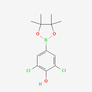 2,6-Dichloro-4-(4,4,5,5-tetramethyl-1,3,2-dioxaborolan-2-yl)phenol chemical structure (CAS 1003298-87-0)