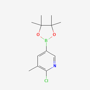 2-Chloro-3-methylpyridine-5-boronic Acid Pinacol Ester chemical structure (CAS 1010101-07-1)