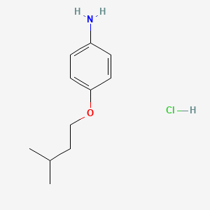 4-(Isopentyloxy)aniline hydrochloride chemical structure (CAS 10141-51-2)
