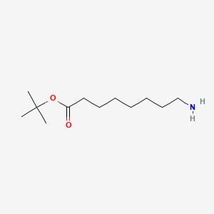 tert-Butyl 8-aminooctanoate chemical structure (CAS 102522-32-7)