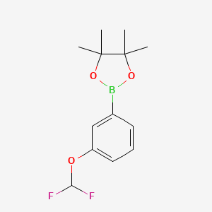 2-(3-(Difluoromethoxy)phenyl)-4,4,5,5-tetramethyl-1,3,2-dioxaborolane chemical structure (CAS 1035690-56-2)