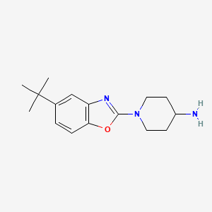 1-(5-(tert-Butyl)benzo[d]oxazol-2-yl)piperidin-4-amine chemical structure (CAS 1035840-48-2)