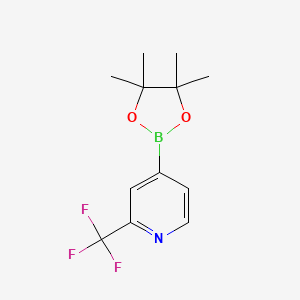 4-(4,4,5,5-Tetramethyl-1,3,2-dioxaborolan-2-yl)-2-(trifluoromethyl)pyridine chemical structure (CAS 1036990-42-7)
