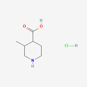 3-Methylpiperidine-4-carboxylic acid hydrochloride chemical structure (CAS 1038992-98-1)
