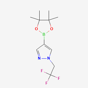 4-(4,4,5,5-Tetramethyl-1,3,2-dioxaborolan-2-yl)-1-(2,2,2-trifluoroethyl)-1H-pyrazole chemical structure (CAS 1049730-42-8)