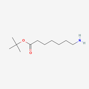 tert-Butyl 7-aminoheptanoate chemical structure (CAS 105974-64-9)