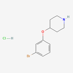 4-(3-Bromophenoxy)piperidine hydrochloride chemical structure (CAS 1072944-50-3)