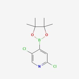 2,5-Dichloro-4-(4,4,5,5-tetramethyl-1,3,2-dioxaborolan-2-yl)pyridine chemical structure (CAS 1073353-98-6)
