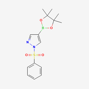 1-(Phenylsulfonyl)-4-(4,4,5,5-tetramethyl-1,3,2-dioxaborolan-2-yl)-1H-pyrazole chemical structure (CAS 1073372-04-9)