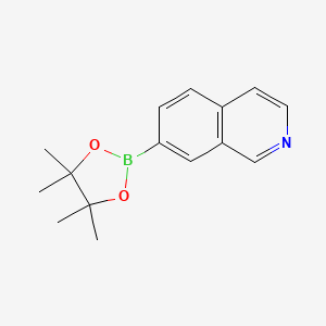 7-(4,4,5,5-Tetramethyl-1,3,2-dioxaborolan-2-yl)isoquinoline chemical structure (CAS 1082947-07-6)