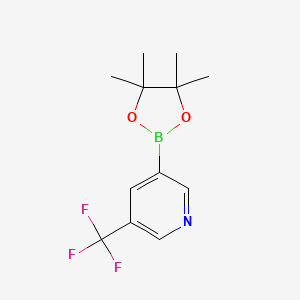 3-(4,4,5,5-Tetramethyl-1,3,2-dioxaborolan-2-yl)-5-(trifluoromethyl)pyridine chemical structure (CAS 1084953-47-8)