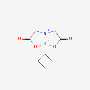 8-Cyclobutyl-4-methyl-2,6-dioxohexahydro-[1,3,2]oxazaborolo[2,3-b][1,3,2]oxazaborol-4-ium-8-uide chemical structure (CAS 1104637-37-7)
