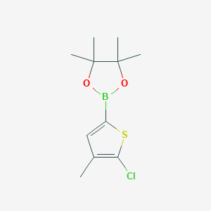 2-(5-Chloro-4-methylthiophen-2-yl)-4,4,5,5-tetramethyl-1,3,2-dioxaborolane chemical structure (CAS 1111095-98-7)