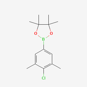 2-(4-Chloro-3,5-dimethylphenyl)-4,4,5,5-tetramethyl-1,3,2-dioxaborolane chemical structure (CAS 1111096-20-8)