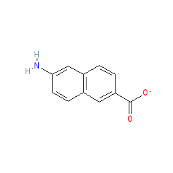 6-Amino-2-naphthoic acid chemical structure (CAS 116668-47-4)