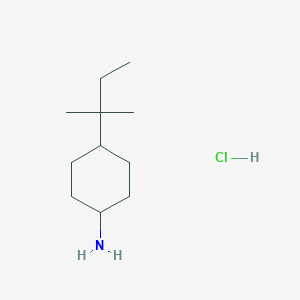 4-(2-Methylbutan-2-yl)cyclohexan-1-amine hydrochloride chemical structure (CAS 1177354-16-3)