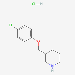 3-((4-Chlorophenoxy)methyl)piperidine hydrochloride chemical structure (CAS 1185296-38-1)
