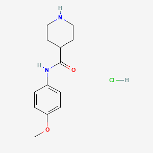 N-(4-Methoxyphenyl)piperidine-4-carboxamide hydrochloride chemical structure (CAS 1186049-52-4)