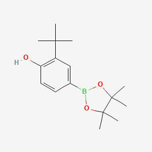 2-(tert-Butyl)-4-(4,4,5,5-tetramethyl-1,3,2-dioxaborolan-2-yl)phenol chemical structure (CAS 1188335-77-4)