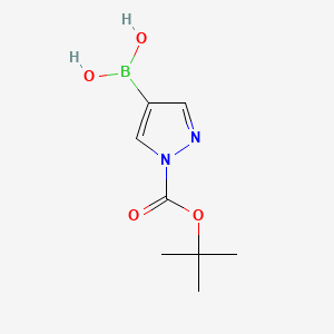 (1-(tert-Butoxycarbonyl)-1H-pyrazol-4-yl)boronic acid chemical structure (CAS 1188405-87-9)