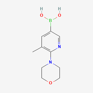 (5-Methyl-6-morpholinopyridin-3-yl)boronic acid chemical structure (CAS 1191062-85-7)