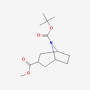 8-(tert-Butyl) 3-methyl 8-azabicyclo[3.2.1]octane-3,8-dicarboxylate chemical structure (CAS 1204809-88-0)