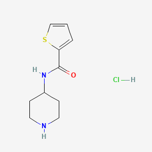N-(Piperidin-4-yl)thiophene-2-carboxamide hydrochloride chemical structure (CAS 1211130-98-1)