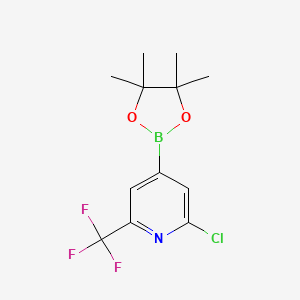 2-Chloro-4-(4,4,5,5-tetramethyl-1,3,2-dioxaborolan-2-yl)-6-(trifluoromethyl)pyridine chemical structure (CAS 1218790-05-6)