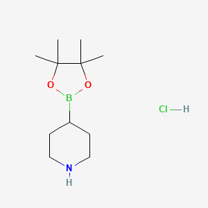 4-(4,4,5,5-Tetramethyl-1,3,2-dioxaborolan-2-yl)piperidine hydrochloride chemical structure (CAS 1218790-99-8)