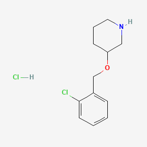 3-((2-Chlorobenzyl)oxy)piperidine hydrochloride chemical structure (CAS 1220017-44-6)