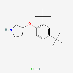 3-(2,4-Di-tert-butylphenoxy)pyrrolidine hydrochloride chemical structure (CAS 1220017-79-7)