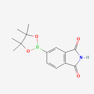 5-(4,4,5,5-Tetramethyl-1,3,2-dioxaborolan-2-yl)isoindoline-1,3-dione chemical structure (CAS 1220423-08-4)
