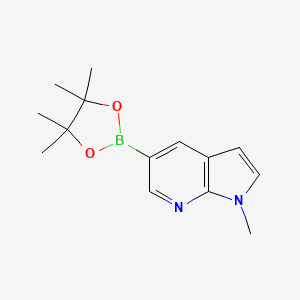 1-Methyl-5-(4,4,5,5-tetramethyl-1,3,2-dioxaborolan-2-yl)-1H-pyrrolo[2,3-b]pyridine chemical structure (CAS 1220696-34-3)