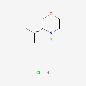 (R)-3-Isopropylmorpholine hydrochloride chemical structure (CAS 1227917-52-3)