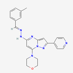 4-(5-(2-(3-Methylbenzylidene)hydrazinyl)-2-(pyridin-4-yl)pyrazolo[1,5-a]pyrimidin-7-yl)morpholine chemical structure (CAS 1232221-74-7)