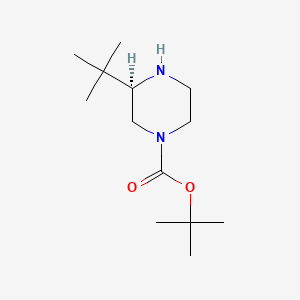 (R)-tert-Butyl 3-(tert-butyl)piperazine-1-carboxylate chemical structure (CAS 1240588-24-2)