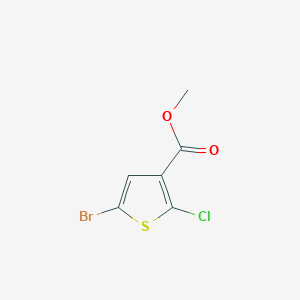 Methyl 5-bromo-2-chlorothiophene-3-carboxylate chemical structure (CAS 1243475-64-0)