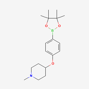 1-Methyl-4-(4-(4,4,5,5-tetramethyl-1,3,2-dioxaborolan-2-yl)phenoxy)piperidine chemical structure (CAS 1247006-48-9)