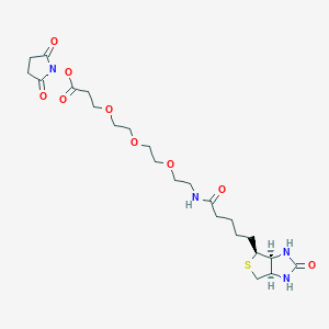 2,5-Dioxopyrrolidin-1-yl 14-oxo-18-((3aS,4S,6aR)-2-oxohexahydro-1H-thieno[3,4-d]imidazol-4-yl)-4,7,10-trioxa-13-azaoctadecanoate chemical structure (CAS 1253286-56-4)