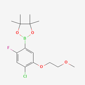 2-(4-Chloro-2-fluoro-5-(2-methoxyethoxy)phenyl)-4,4,5,5-tetramethyl-1,3,2-dioxaborolane chemical structure (CAS 1256360-21-0)