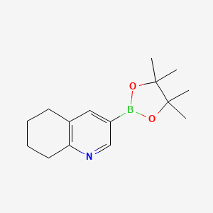 3-(4,4,5,5-Tetramethyl-1,3,2-dioxaborolan-2-yl)-5,6,7,8-tetrahydroquinoline chemical structure (CAS 1256360-50-5)
