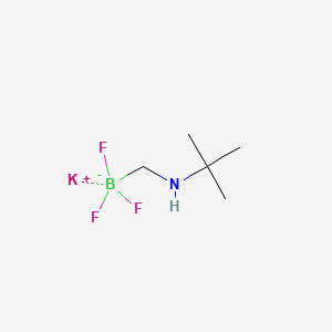 Potassium ((tert-butylamino)methyl)trifluoroborate chemical structure (CAS 1256366-05-8)