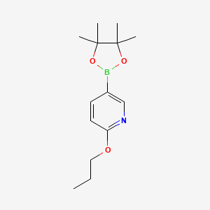 2-Propoxy-5-(4,4,5,5-tetramethyl-1,3,2-dioxaborolan-2-yl)pyridine chemical structure (CAS 1257553-85-7)