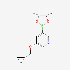 3-(Cyclopropylmethoxy)-5-(4,4,5,5-tetramethyl-1,3,2-dioxaborolan-2-yl)pyridine chemical structure (CAS 1257553-87-9)