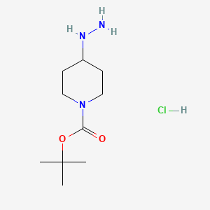 tert-Butyl 4-hydrazinylpiperidine-1-carboxylate hydrochloride chemical structure (CAS 1258001-18-1)