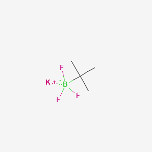 Potassium tert-butyltrifluoroborate chemical structure (CAS 1260112-05-7)