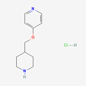 4-(Piperidin-4-ylmethoxy)pyridine hydrochloride chemical structure (CAS 1261233-53-7)