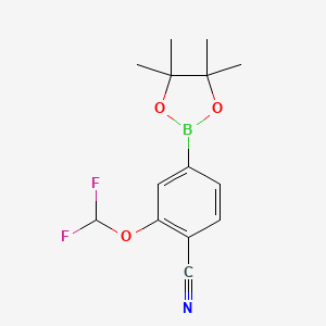 2-(Difluoromethoxy)-4-(4,4,5,5-tetramethyl-1,3,2-dioxaborolan-2-yl)benzonitrile chemical structure (CAS 1308669-92-2)