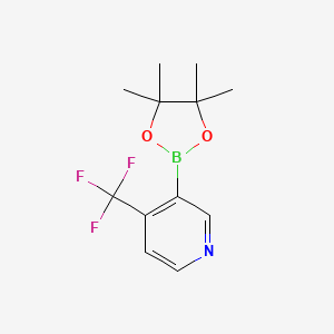 3-(4,4,5,5-Tetramethyl-1,3,2-dioxaborolan-2-yl)-4-(trifluoromethyl)pyridine chemical structure (CAS 1310405-06-1)